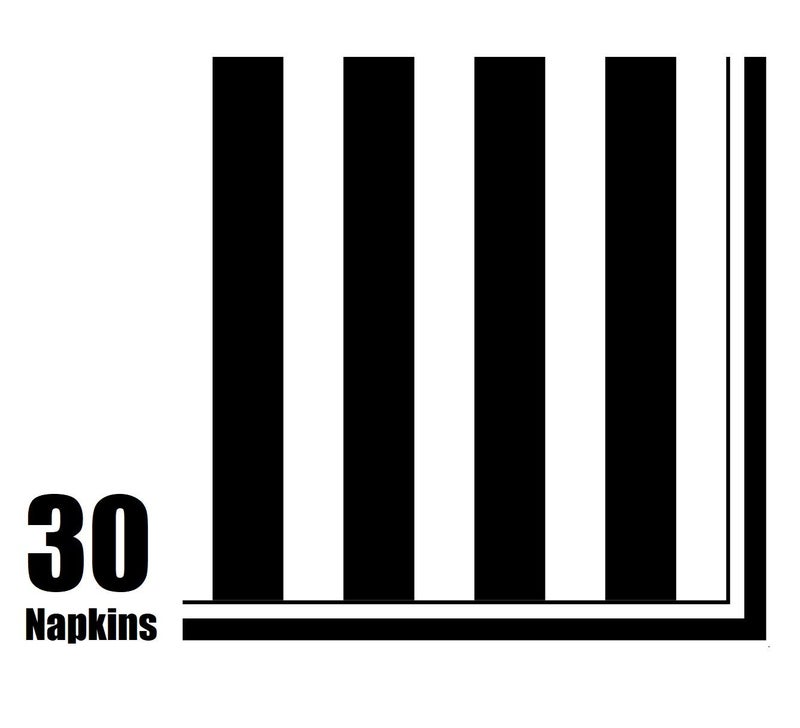 Oojami Serves 30 Black and White Stripes Party Supplies â€“ 9" Dinner Plates, 7" Dessert Plates, 9 oz Cups, 3-Ply Napkins Complete Party Pack for Birthdays, Graduations, Weddings, and Events - Image 4